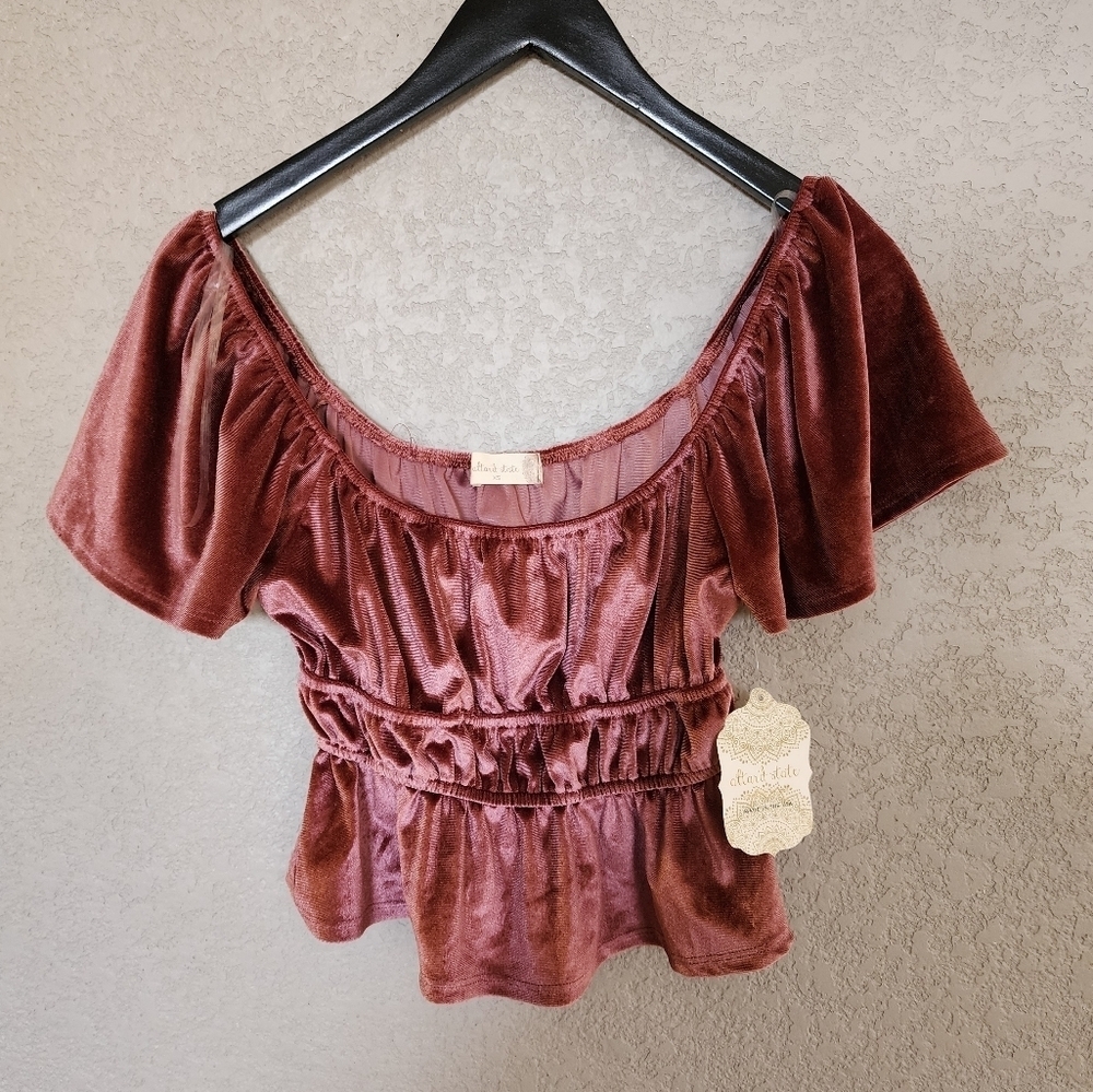 Altard State Velvet Puff Sleeve Top Off The Shoulder Cropped Size XS New